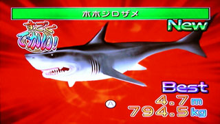08年08月 ゲームとおひげとアタシ 08年08月 ゲームとおひげとアタシ