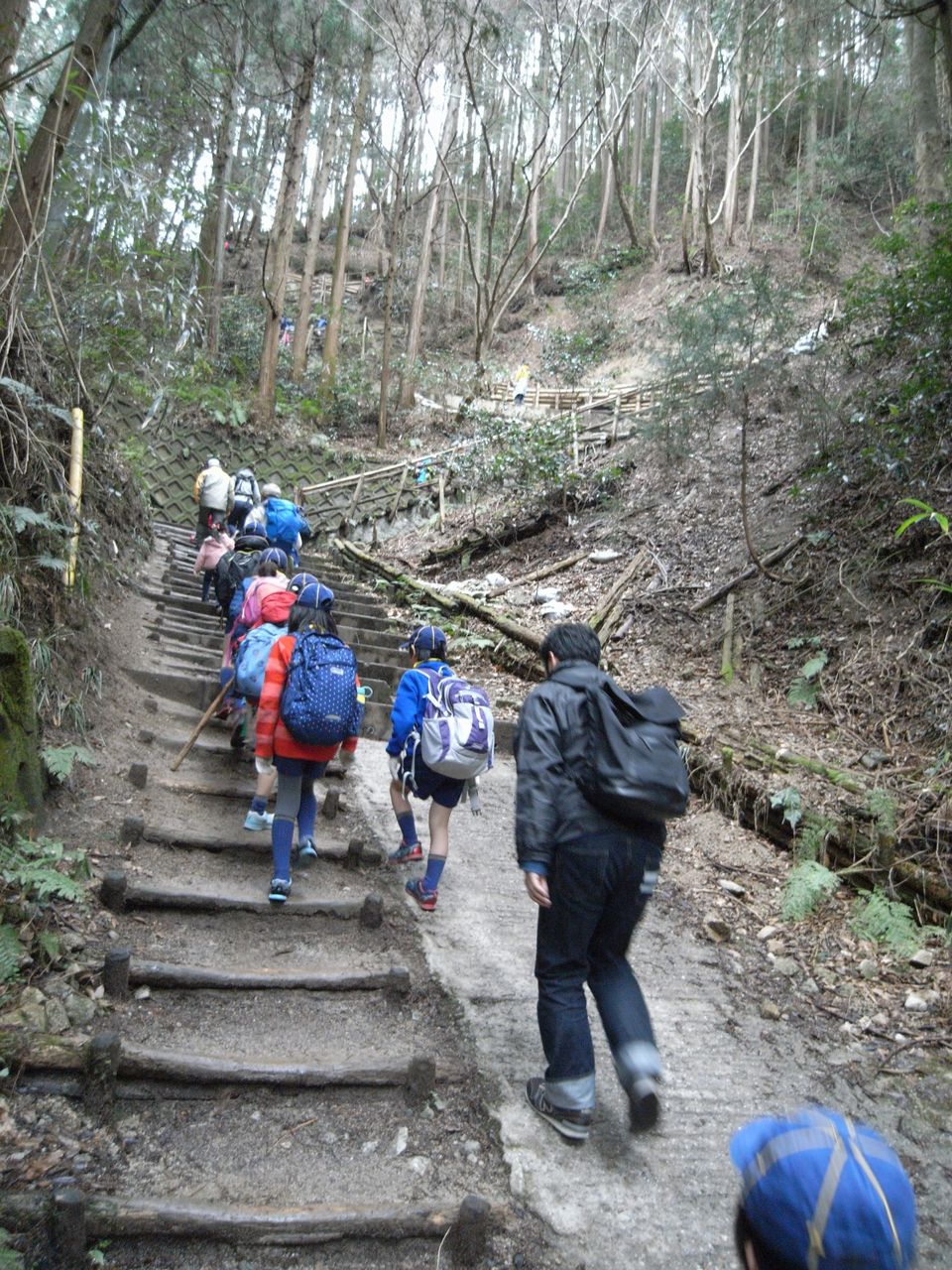 健脚自慢 金剛山登山 ボーイスカウト西宮第22団 健脚自慢 金剛山登山 ボーイスカウト西宮第22団