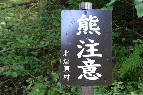 P1000657