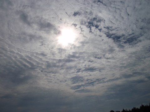 2009年8月17日(月)まで:東北旅行など 196