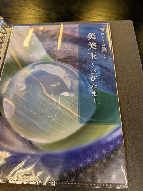 PXL_20250726_063319008