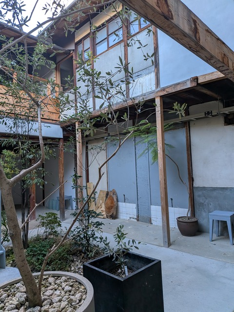 PXL_20251129_062607233