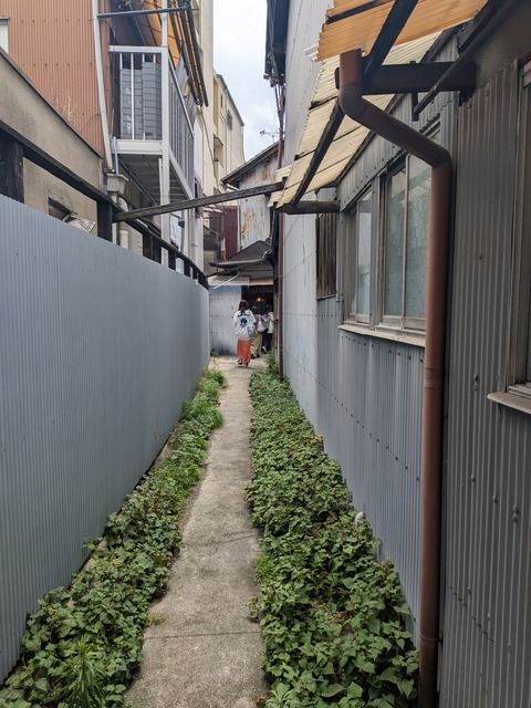 PXL_20250811_032910485