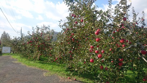PIC000287_1526663175659