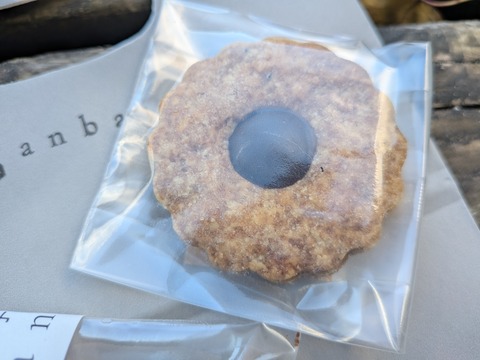 PXL_20251120_064500642.MACRO_FOCUS