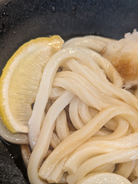 PXL_20251205_035228902.MACRO_FOCUS