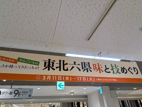 PXL_20260311_093727657