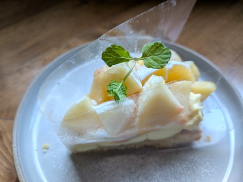 PXL_20250713_041704427.MACRO_FOCUS