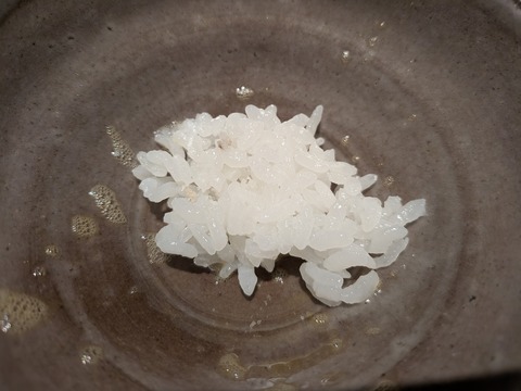 PXL_20251012_114043994.MACRO_FOCUS