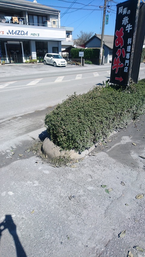 PIC000204