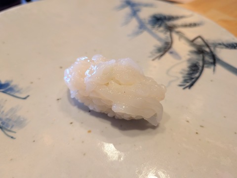PXL_20251212_034118541.MACRO_FOCUS