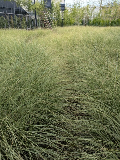 PXL_20251005_020749412