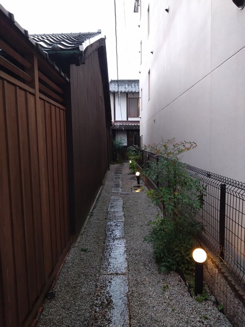DSC_7066