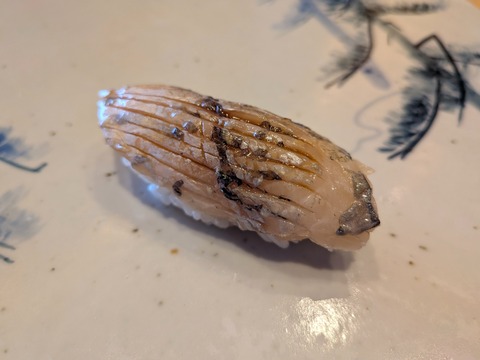 PXL_20251212_035047280.MACRO_FOCUS