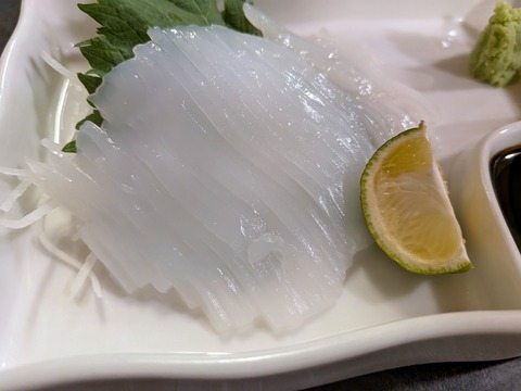 PXL_20260302_111734161.MACRO_FOCUS