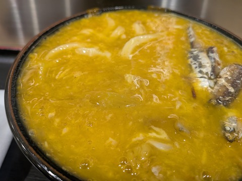 PXL_20260215_032022494.MACRO_FOCUS