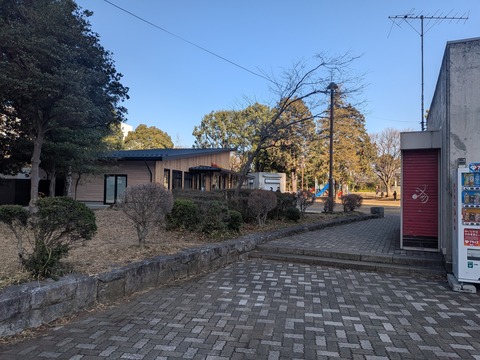 PXL_20260221_004700875