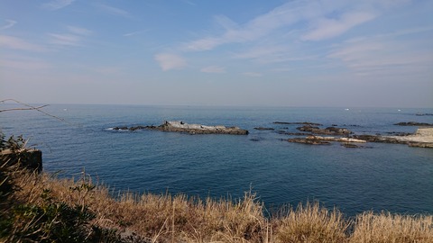 DSC_0142 富津