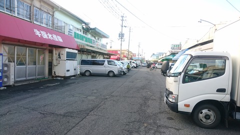 PIC000061