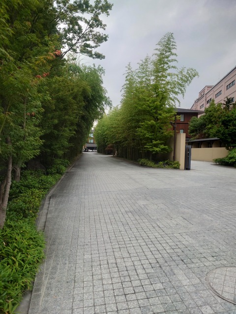 20230626_123116
