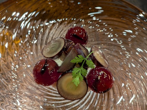 PXL_20250915_100849167.MACRO_FOCUS