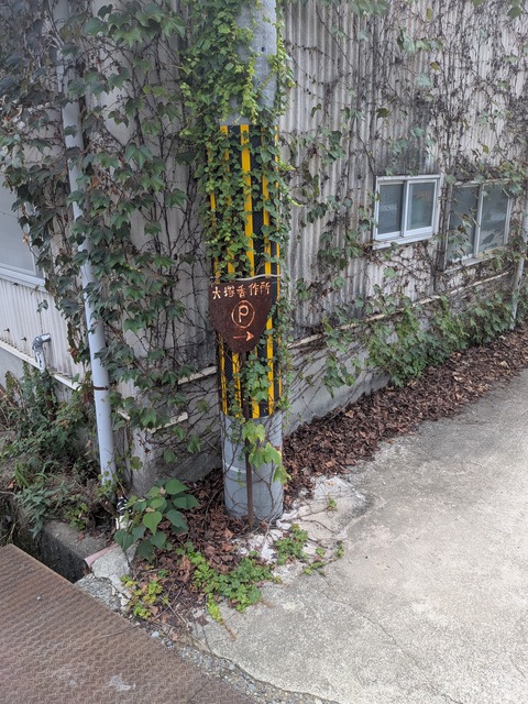 PXL_20250816_021126544