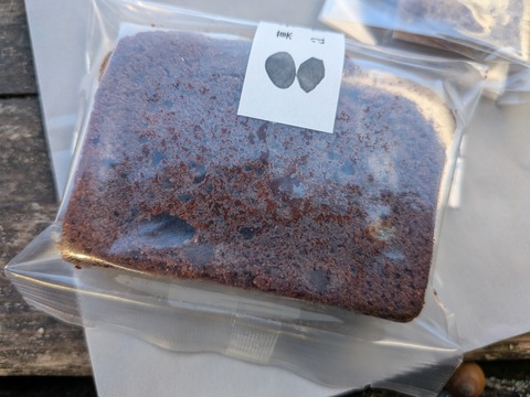 PXL_20251120_064458760.MACRO_FOCUS