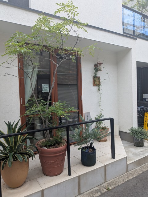 PXL_20250802_040306058