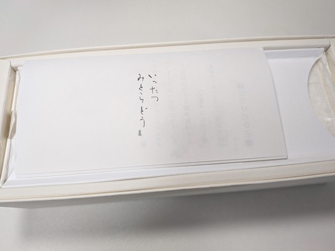 PXL_20250807_110823109