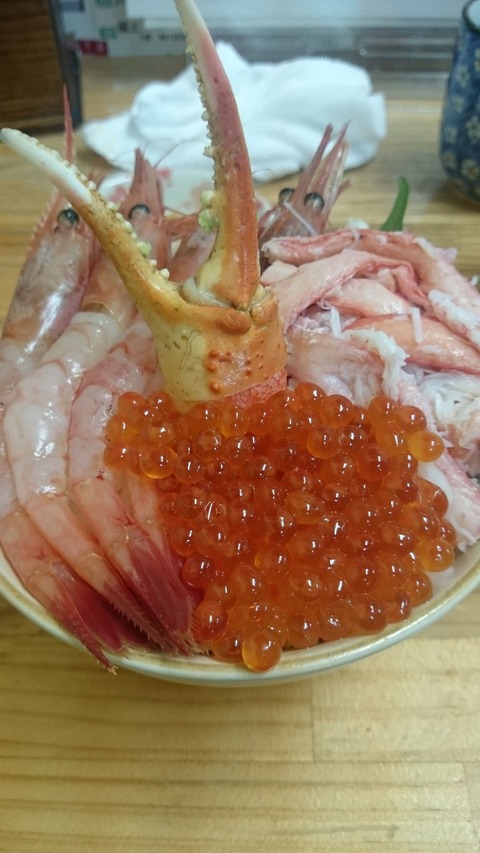 DSC_0374　海鮮丼