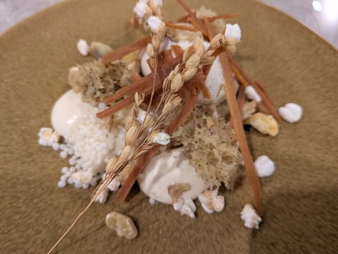 PXL_20251026_073447339.MACRO_FOCUS