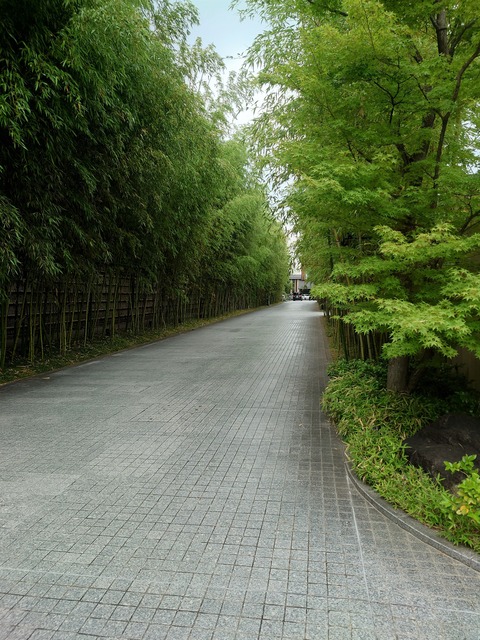 20230626_123141
