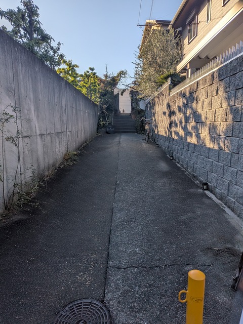 PXL_20251206_060356290