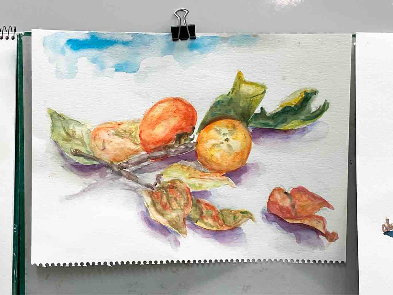 皆さんの柿の水彩画 : 西滝直人 アトリエ日記