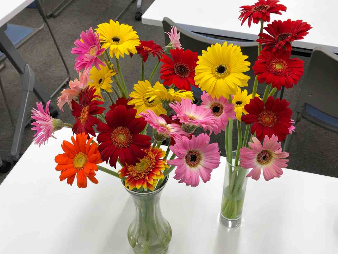 ガーベラづくし 西滝直人 アトリエ日記