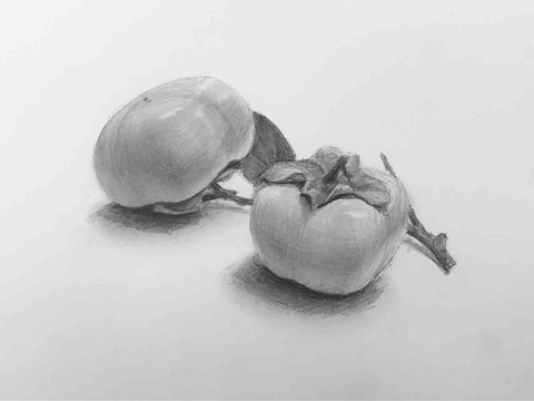 干し柿 鉛筆画 36c822af-s.jpg