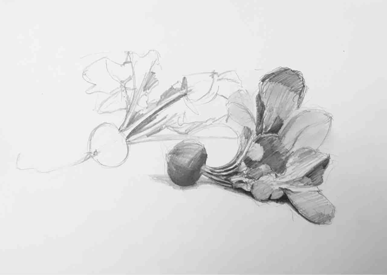 ラディッシュのデッサン : 西滝直人 アトリエ日記