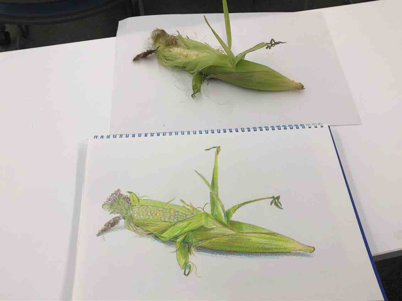 鉛筆画教室より 西滝直人 アトリエ日記