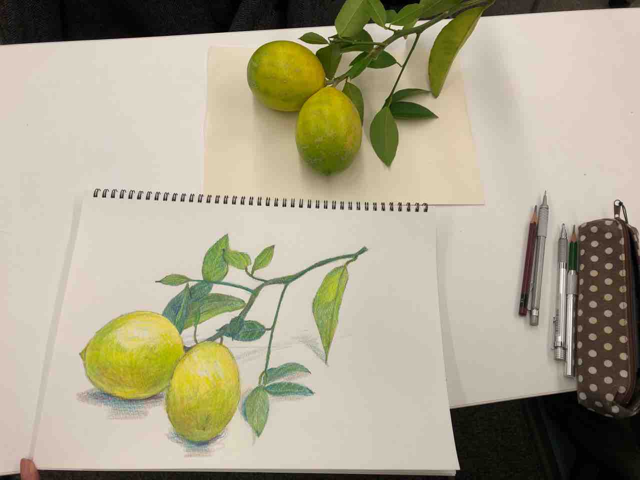 水曜日 鉛筆画教室 高槻教室から 西滝直人 アトリエ日記