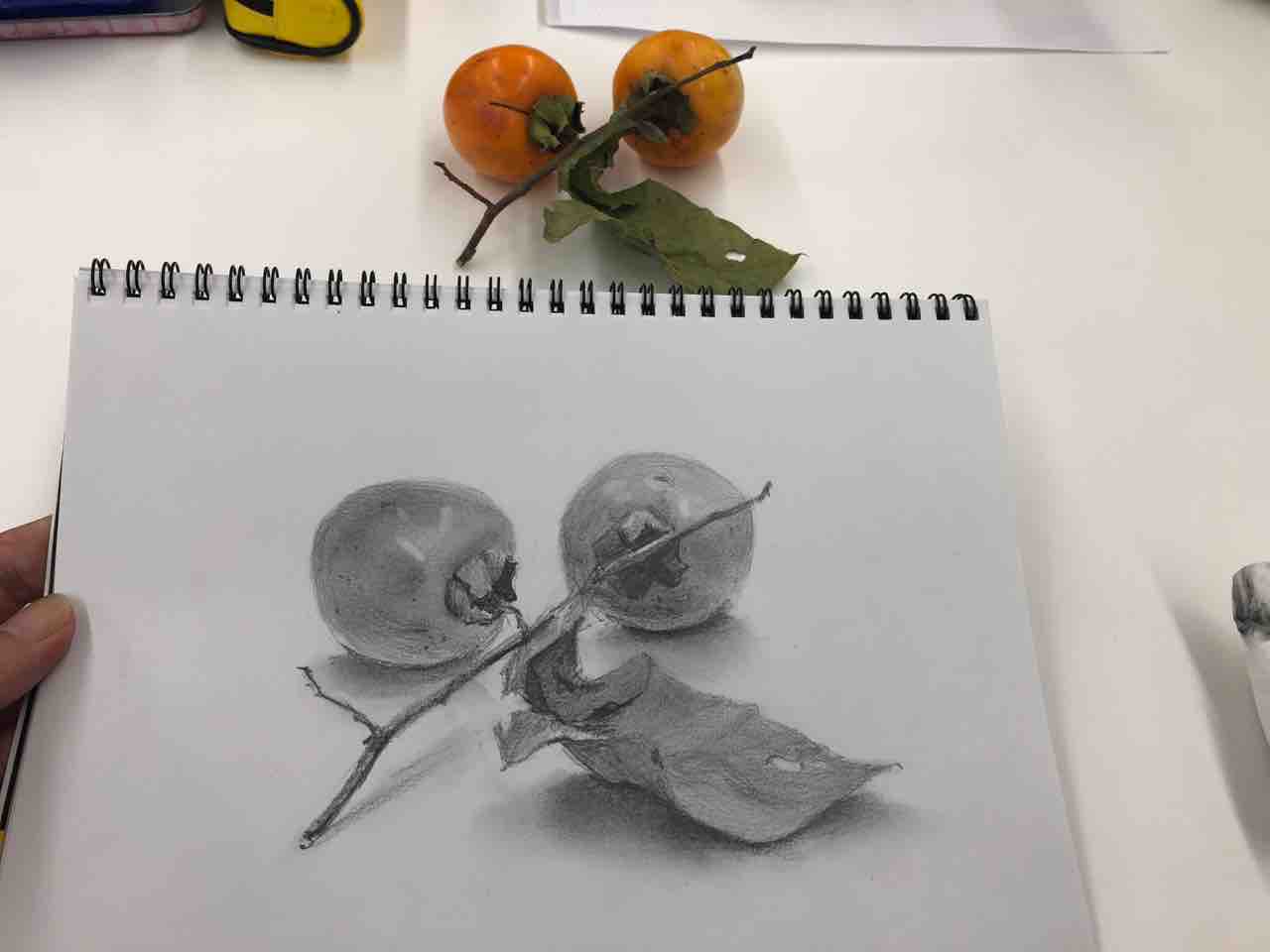 水曜日 鉛筆画教室 : 西滝直人 アトリエ日記