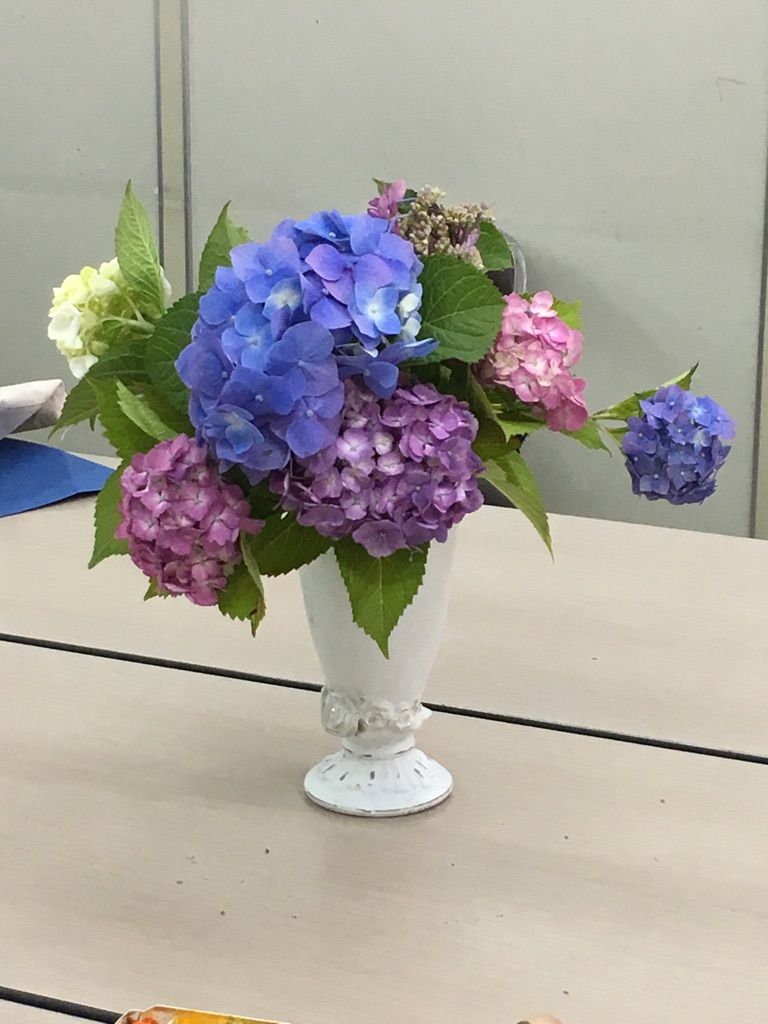 今年も紫陽花 西滝直人 アトリエ日記 今年も紫陽花 西滝直人 アトリエ日記