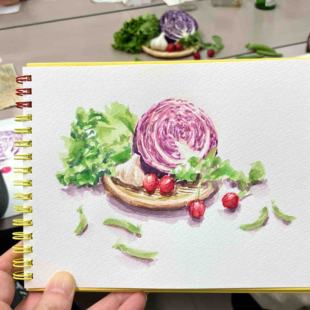 紫キャベツとラディッシュ 野菜の水彩スケッチ : 西滝直人 アトリエ日記