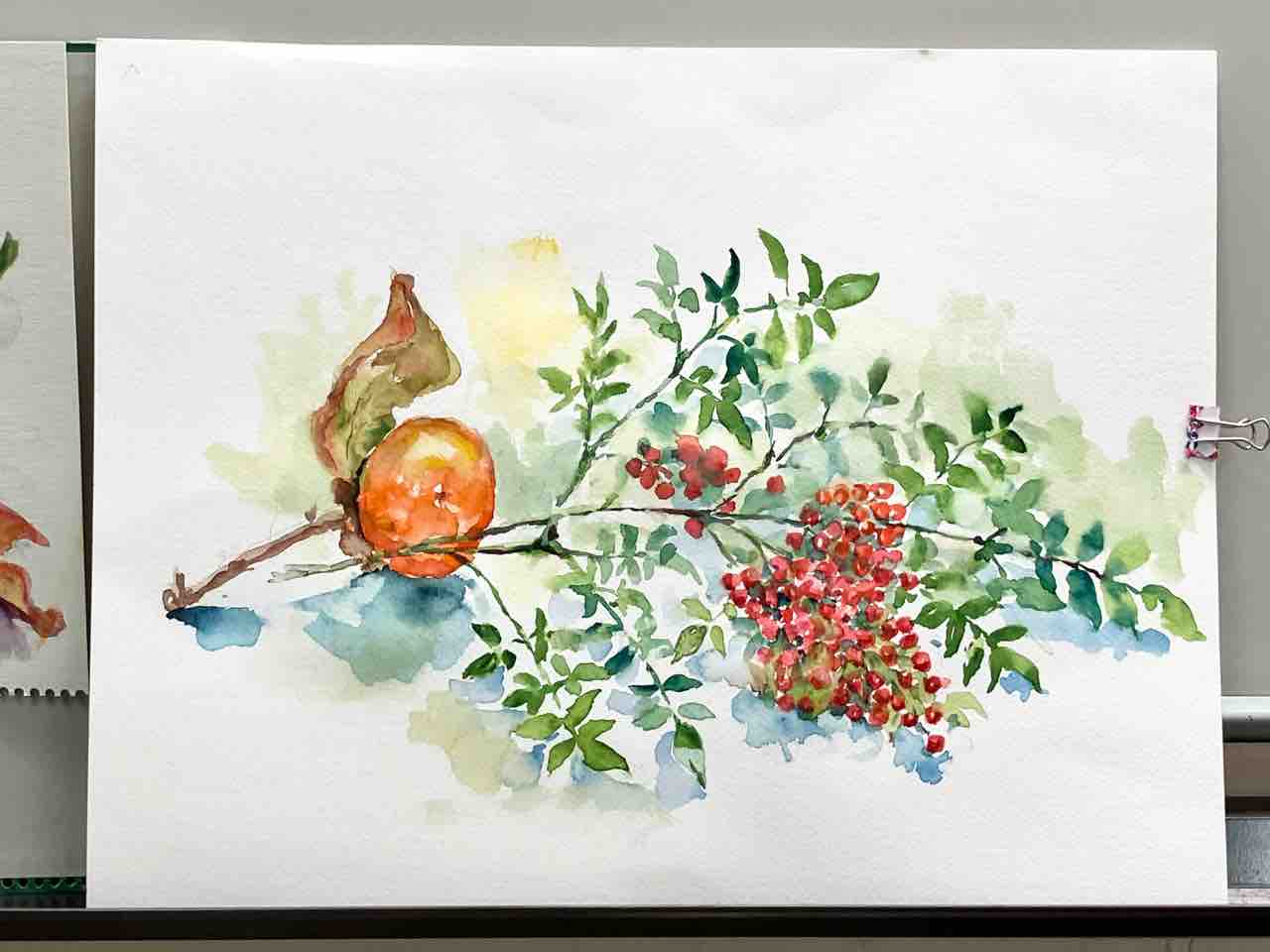 皆さんの柿の水彩画 : 西滝直人 アトリエ日記