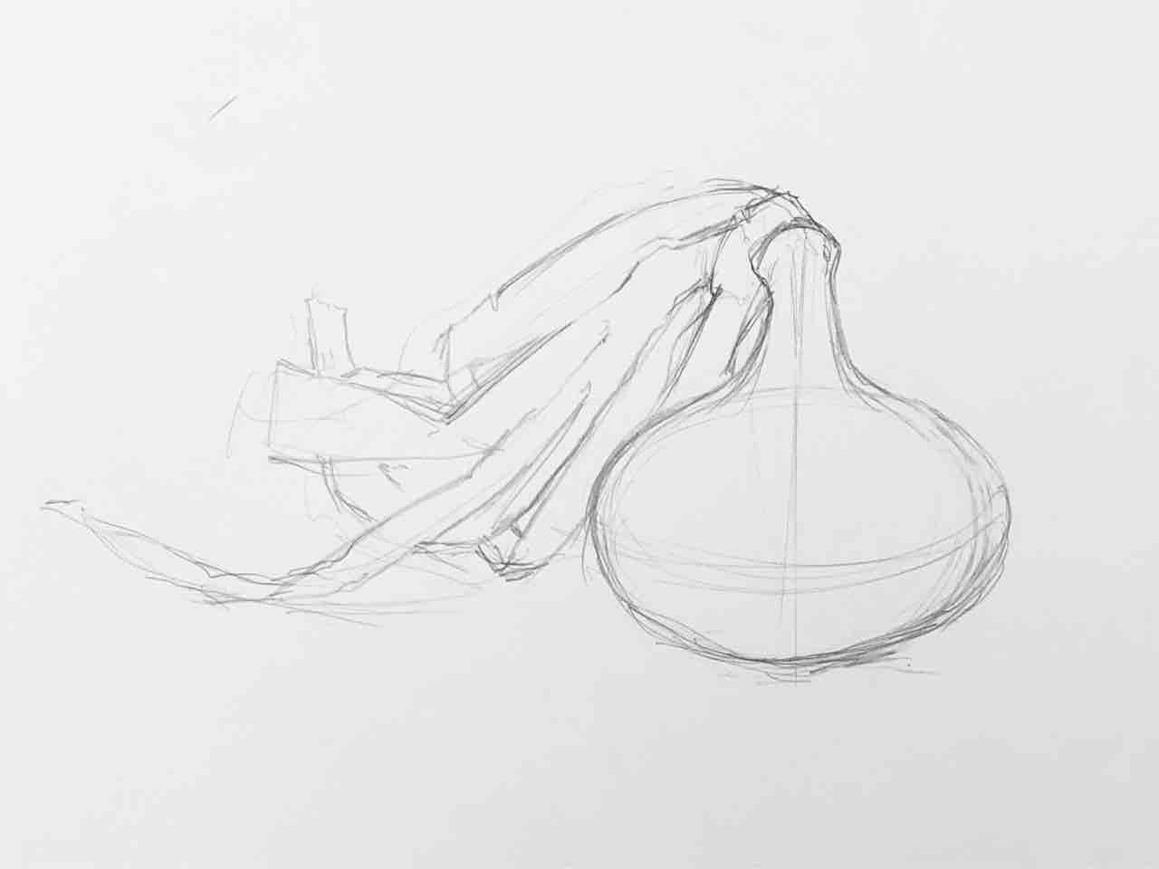 新たまねぎのデッサン : 西滝直人 アトリエ日記