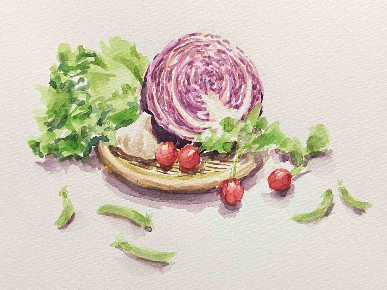 紫キャベツとラディッシュ 野菜の水彩スケッチ : 西滝直人 アトリエ日記