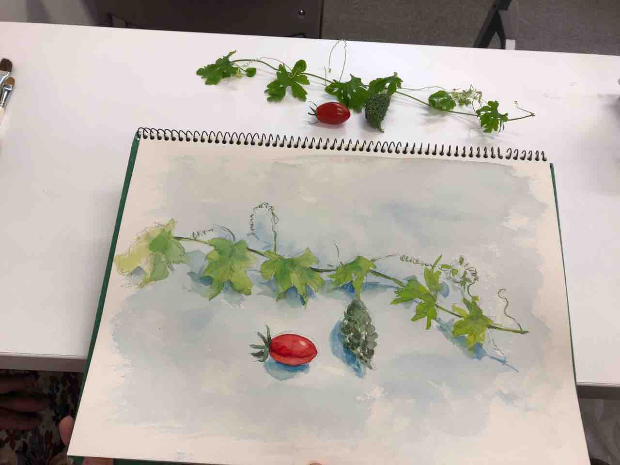 ゴーヤ 教室で描きました 西滝直人 アトリエ日記