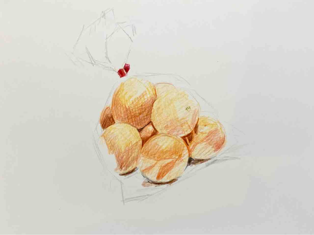 ワンドロチャレンジ みかん🍊の色鉛筆デッサン : 西滝直人 アトリエ日記