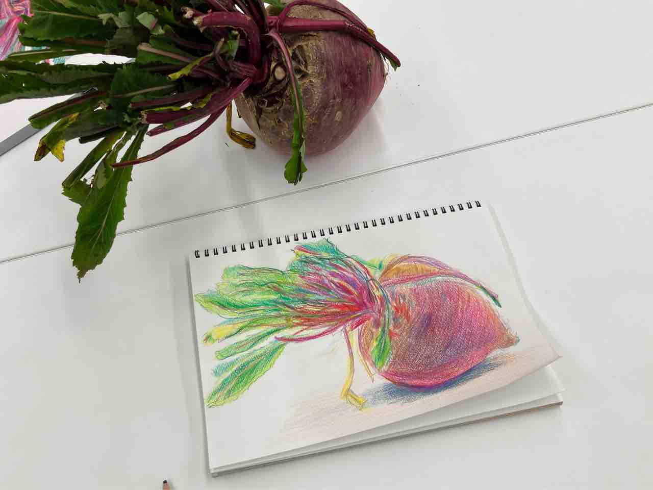 色鉛筆画教室から : 西滝直人 アトリエ日記