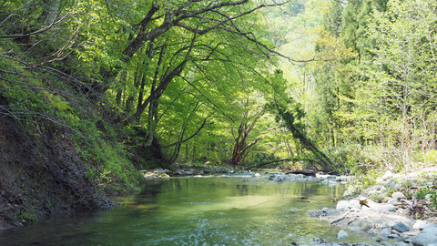 和賀川水系2_20230510