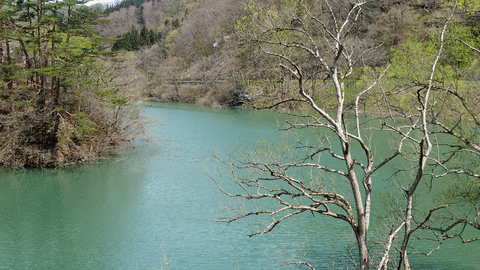 2018年4月30日錦秋湖手前